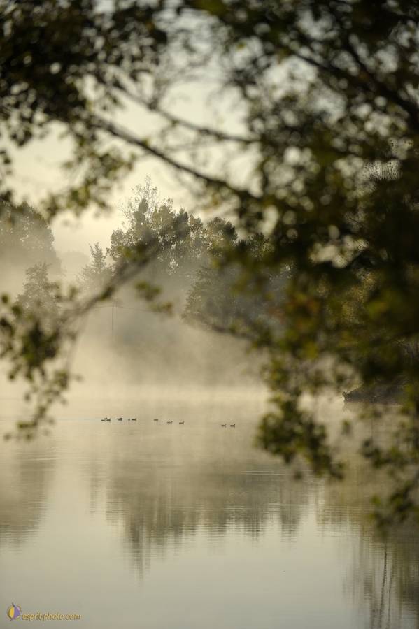 Nom de l'image : D30082733_1_(c)Norbert-JUNG — Description :